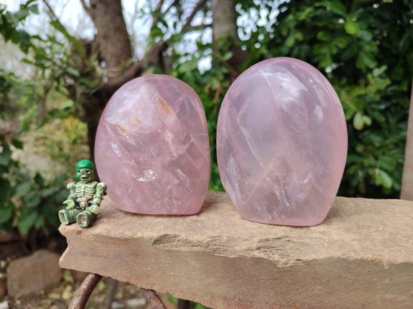 Polished Star Rose Quartz Standing Free Forms x 2 From Madagascar - Toprock Gemstones and Minerals 