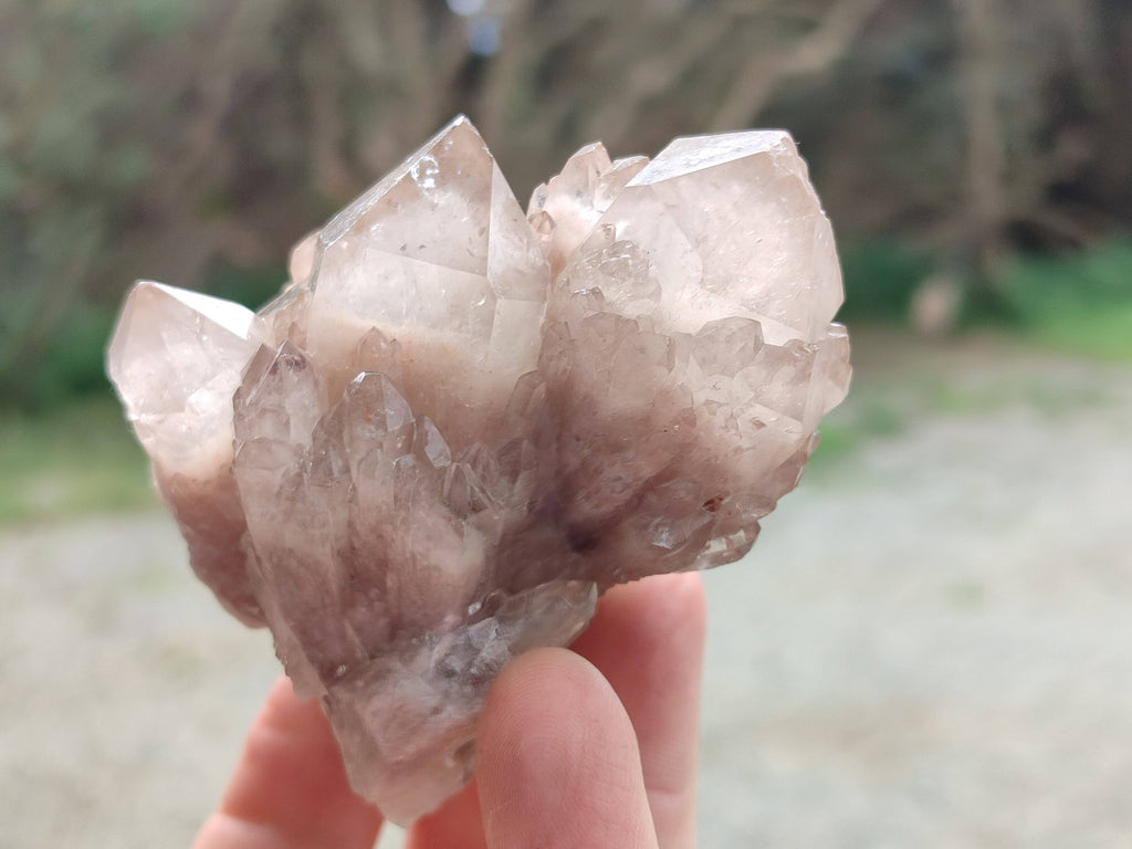 Natural Smokey Phantom Quartz Clusters x 6 From Luena, Congo - Toprock Gemstones and Minerals 