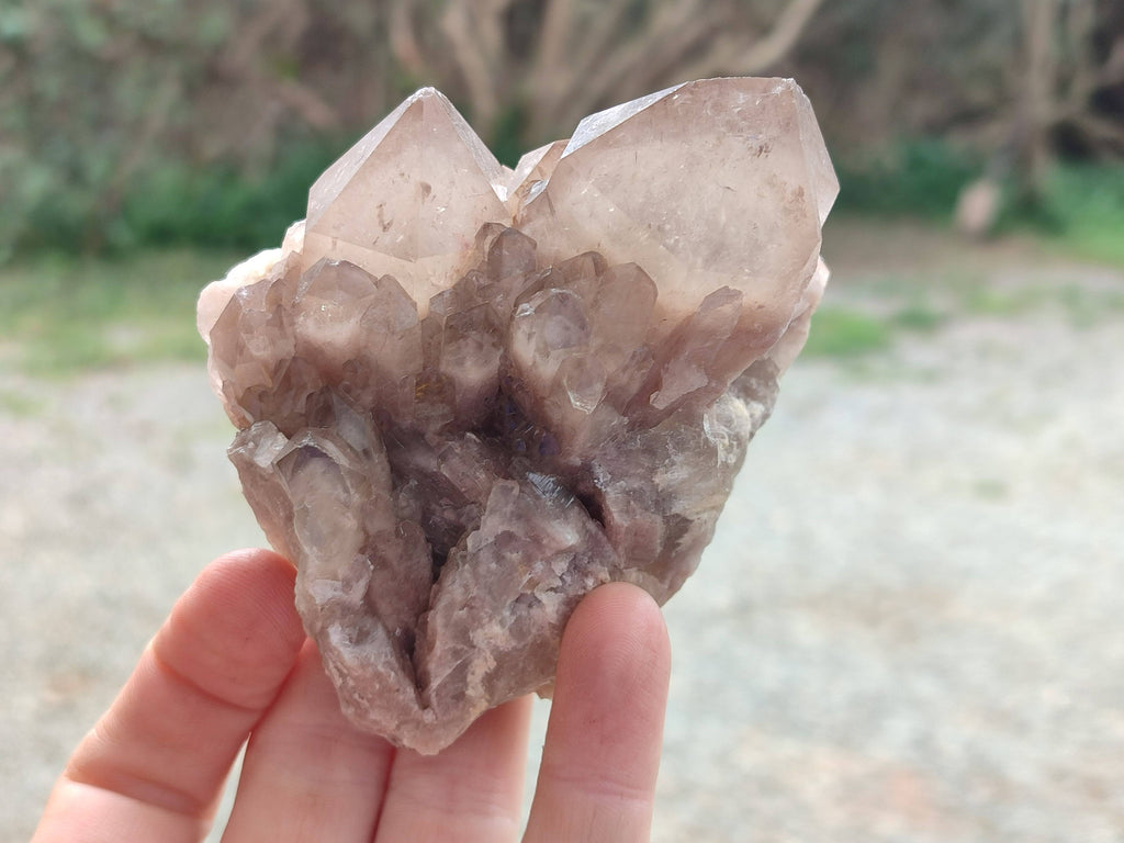 Natural Smokey Phantom Quartz Clusters x 6 From Luena, Congo - Toprock Gemstones and Minerals 