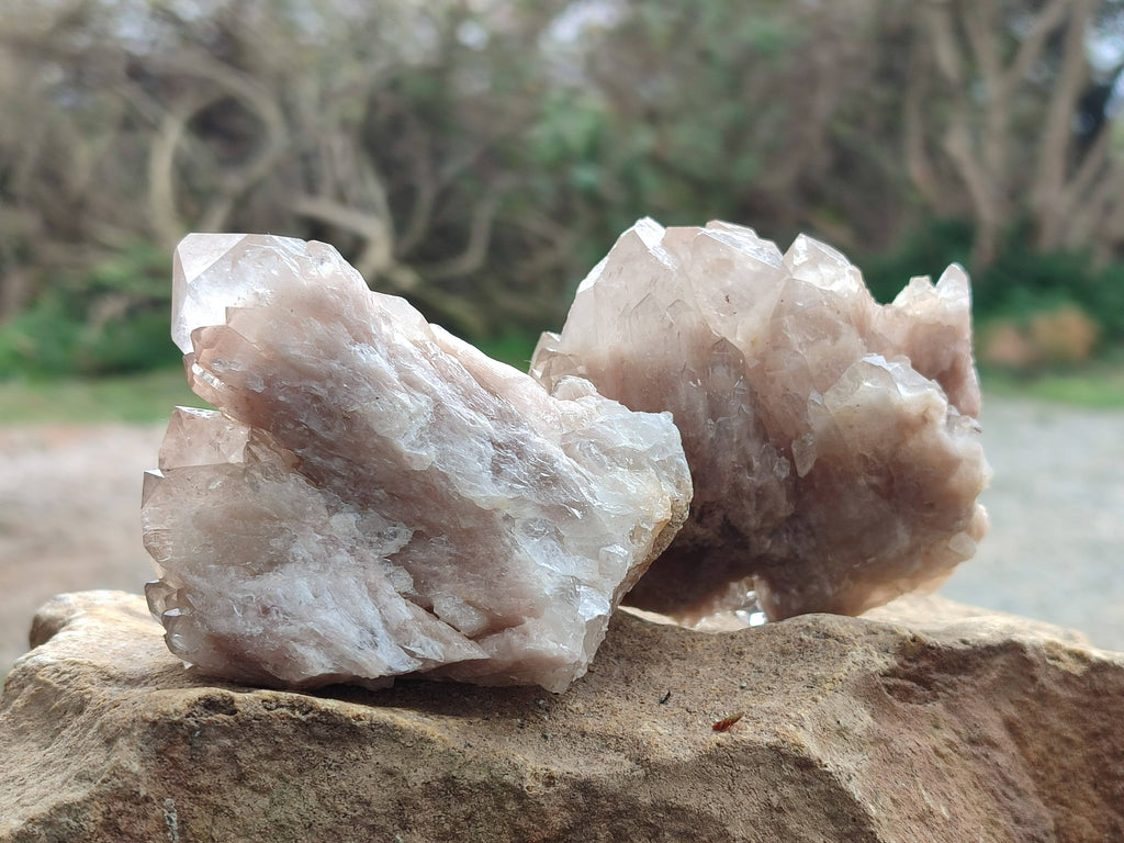 Natural Smokey Phantom Quartz Clusters x 6 From Luena, Congo - Toprock Gemstones and Minerals 