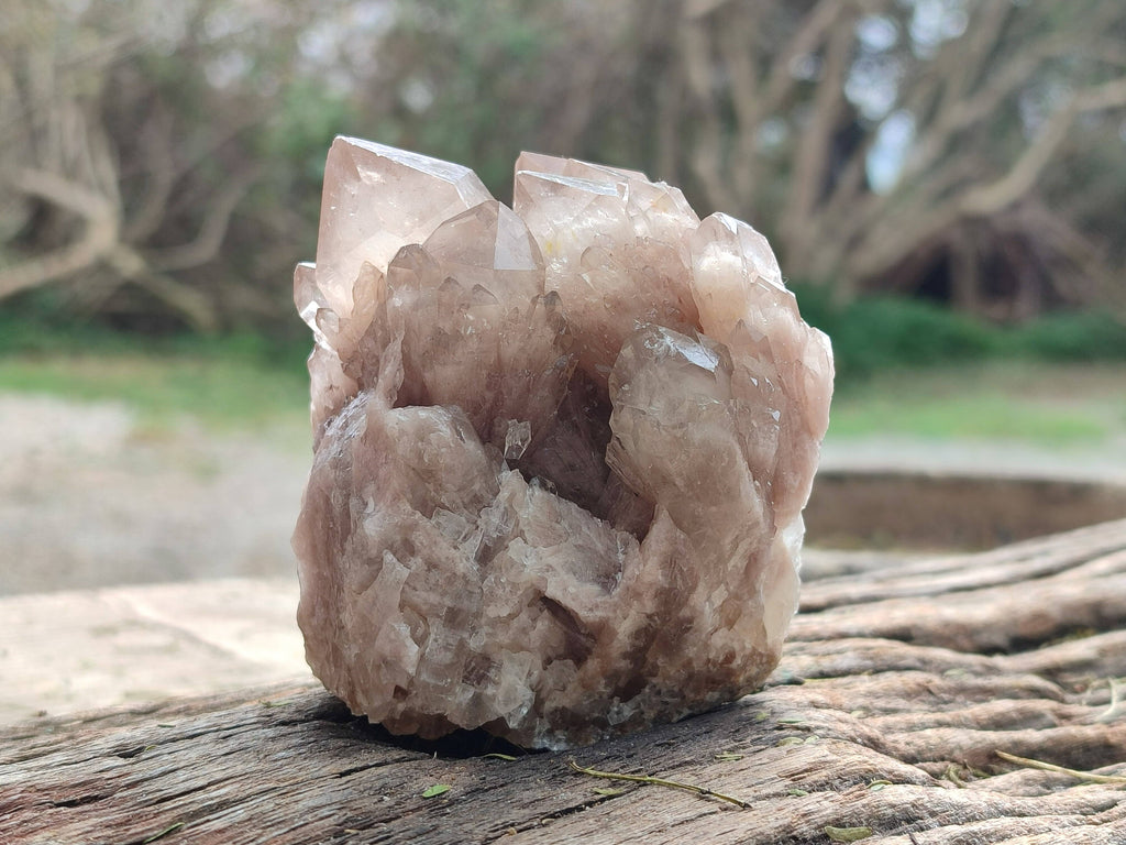 Natural Smokey Phantom Quartz Clusters x 6 From Luena, Congo - Toprock Gemstones and Minerals 