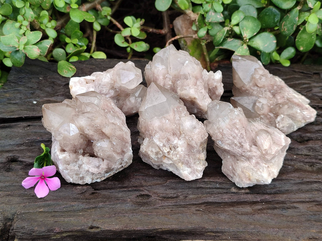 Natural Smokey Phantom Quartz Clusters x 6 From Luena, Congo - Toprock Gemstones and Minerals 