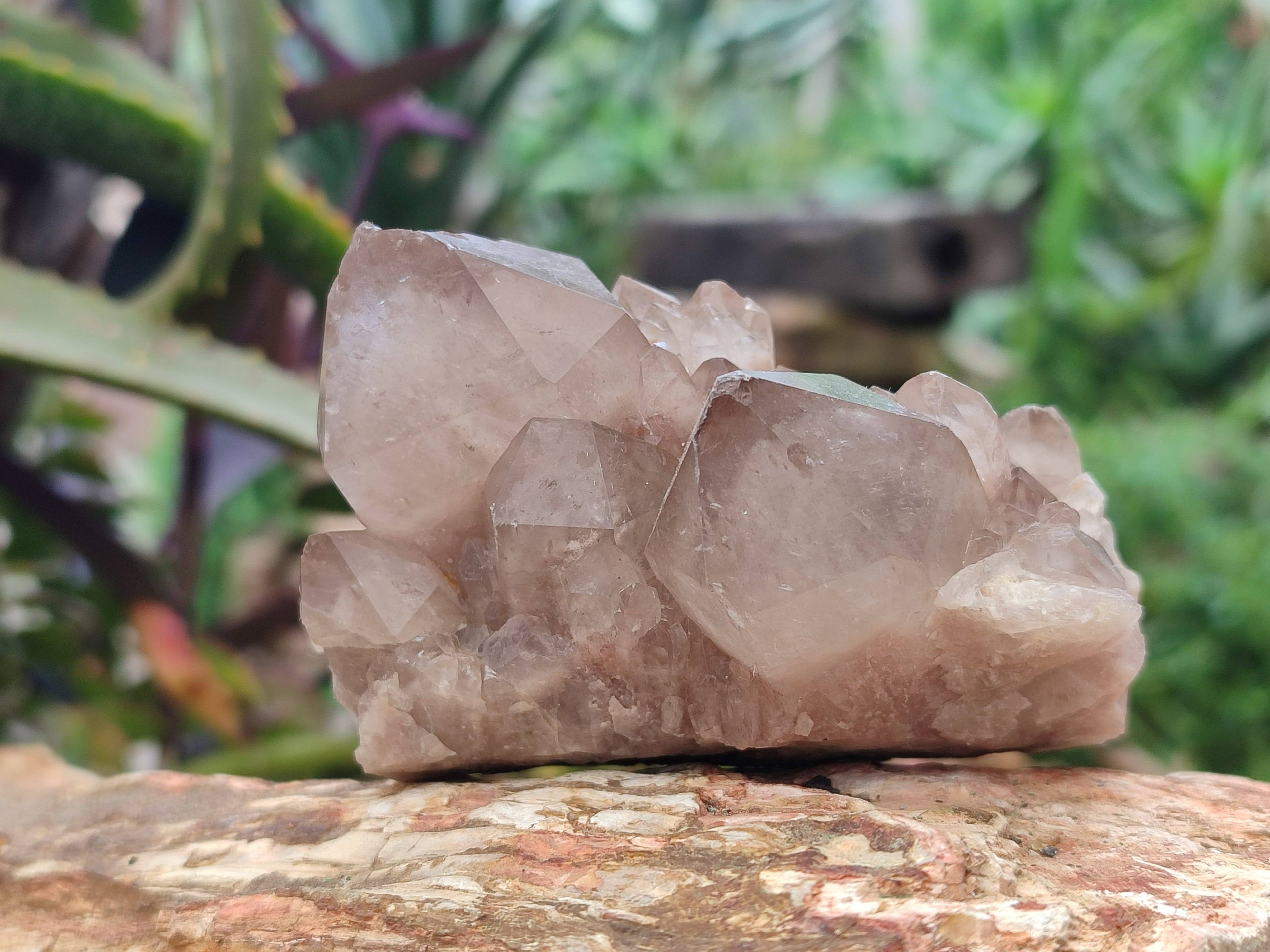 Natural Smokey Phantom Quartz Clusters x 6 From Luena, Congo - Toprock Gemstones and Minerals 