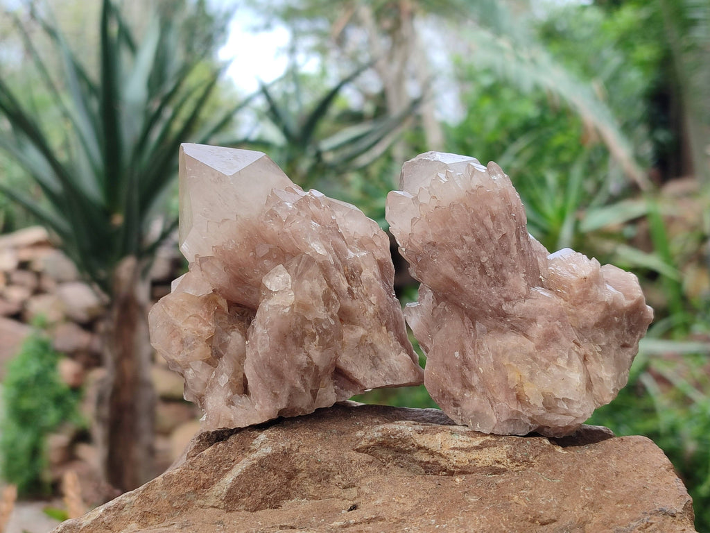 Natural Smokey Phantom Quartz Clusters x 6 From Luena, Congo - Toprock Gemstones and Minerals 