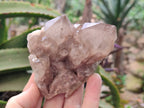Natural Smokey Phantom Quartz Clusters x 6 From Luena, Congo - Toprock Gemstones and Minerals 