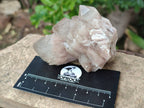 Natural Smokey Phantom Quartz Clusters x 6 From Luena, Congo - Toprock Gemstones and Minerals 