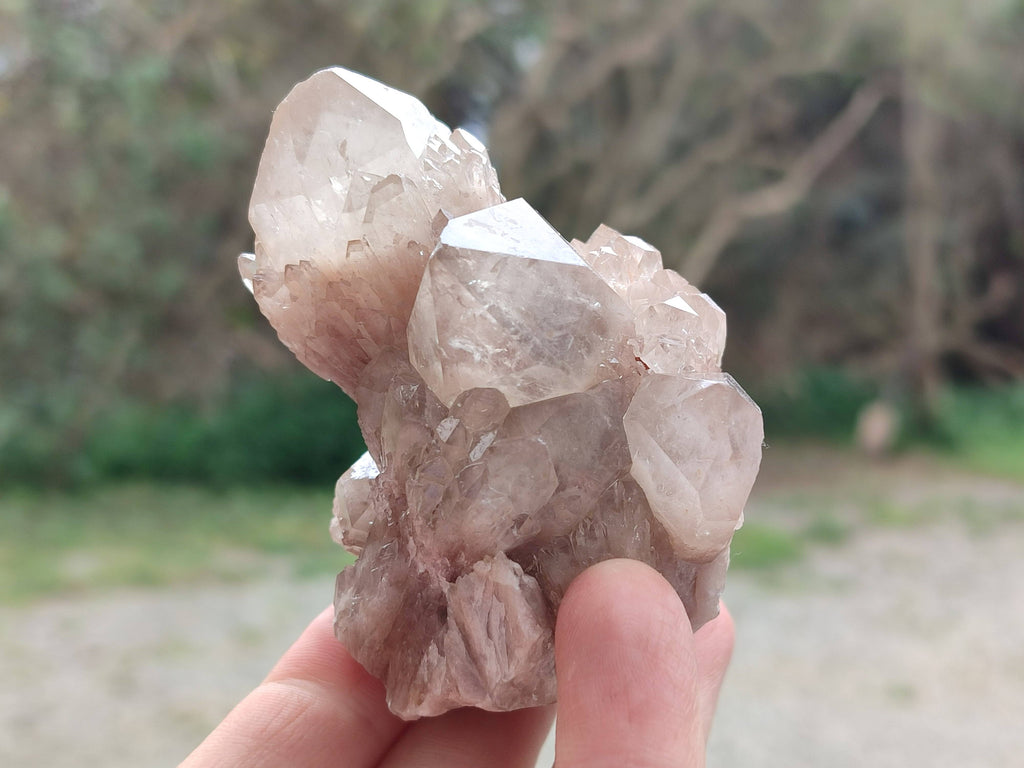 Natural Smokey Phantom Quartz Clusters x 6 From Luena, Congo - Toprock Gemstones and Minerals 