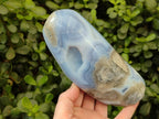 Polished Blue Lace Agate Standing Free Forms x 2 From Nsanje, Malawi - Toprock Gemstones and Minerals 