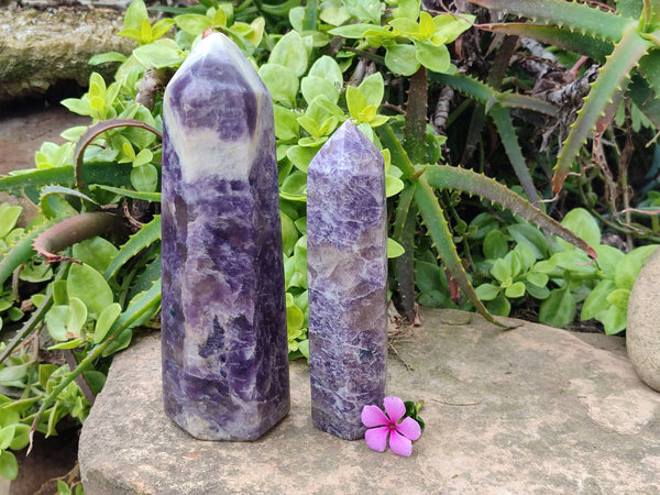 Polished Lepidolite Points x 2 From Madagascar - Toprock Gemstones and Minerals 