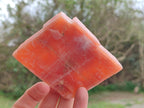 Natural Sunset Orange Calcite Specimens x 12 From Spitzkop, Namibia - Toprock Gemstones and Minerals 
