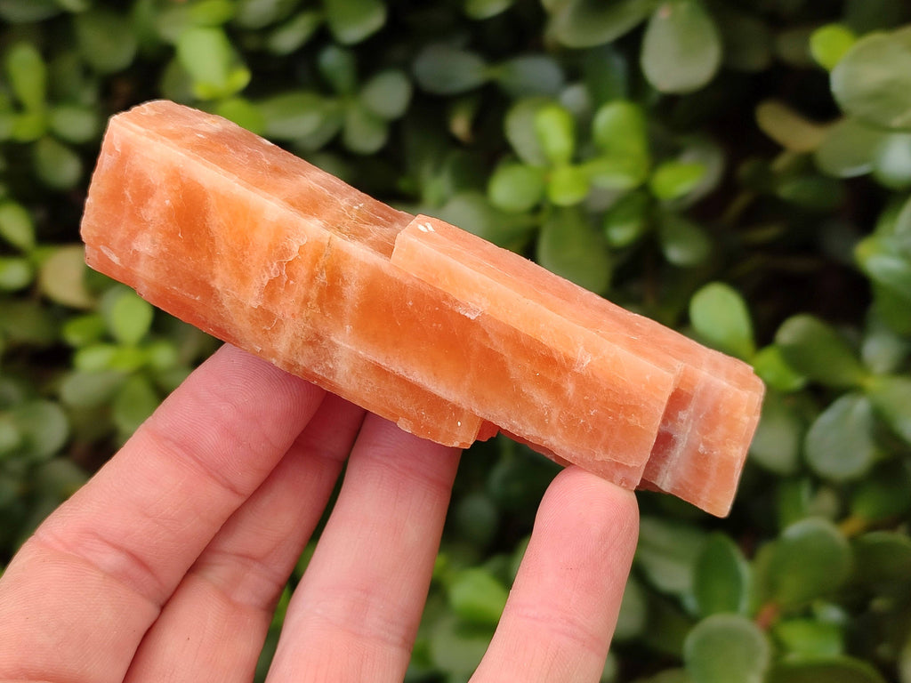 Natural Sunset Orange Calcite Specimens x 12 From Spitzkop, Namibia - Toprock Gemstones and Minerals 