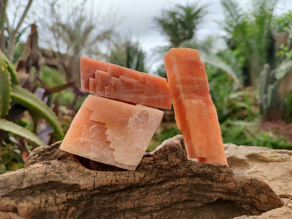 Natural Sunset Orange Calcite Specimens x 12 From Spitzkop, Namibia - Toprock Gemstones and Minerals 