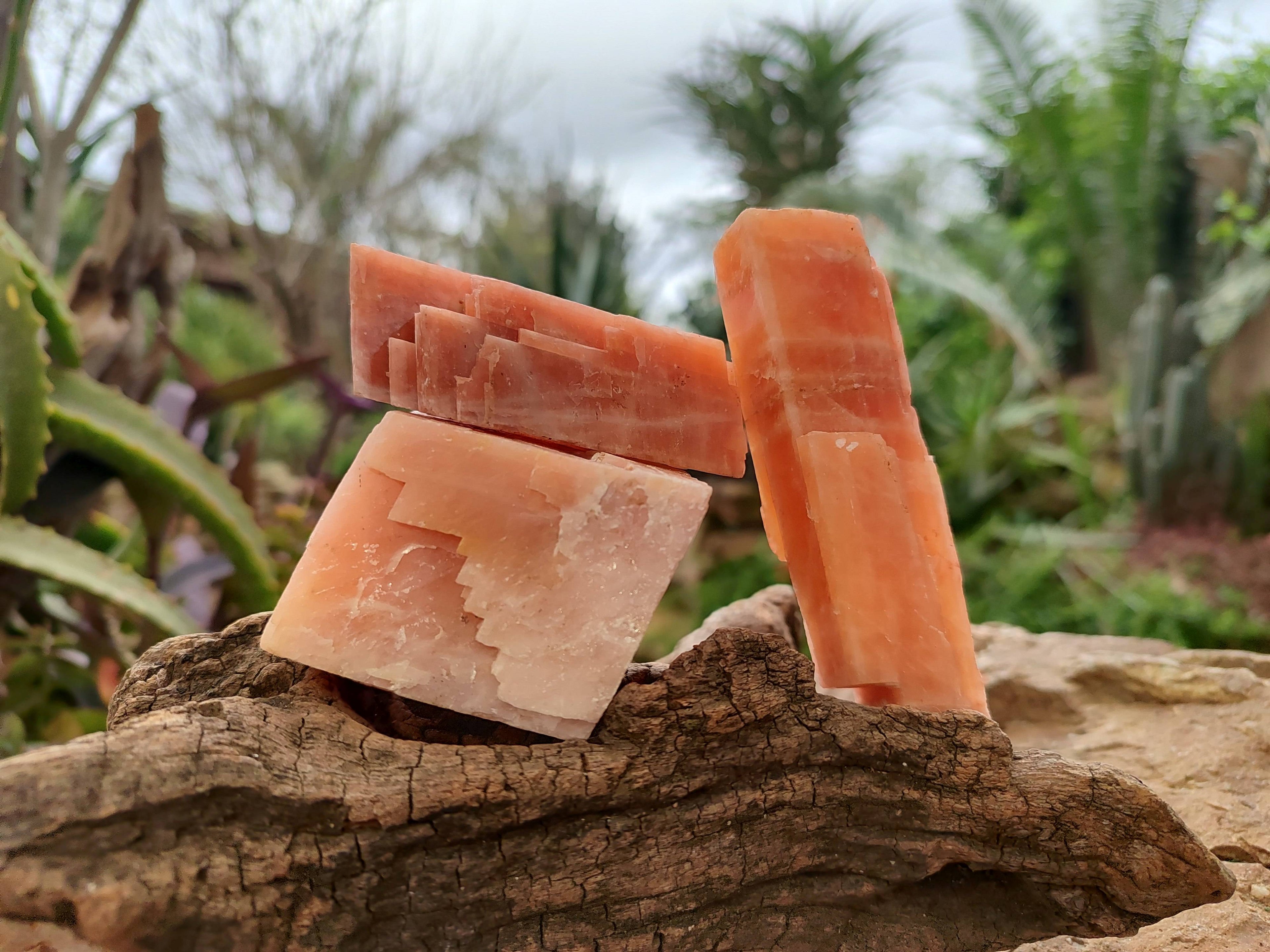 Natural Sunset Orange Calcite Specimens x 12 From Spitzkop, Namibia - Toprock Gemstones and Minerals 