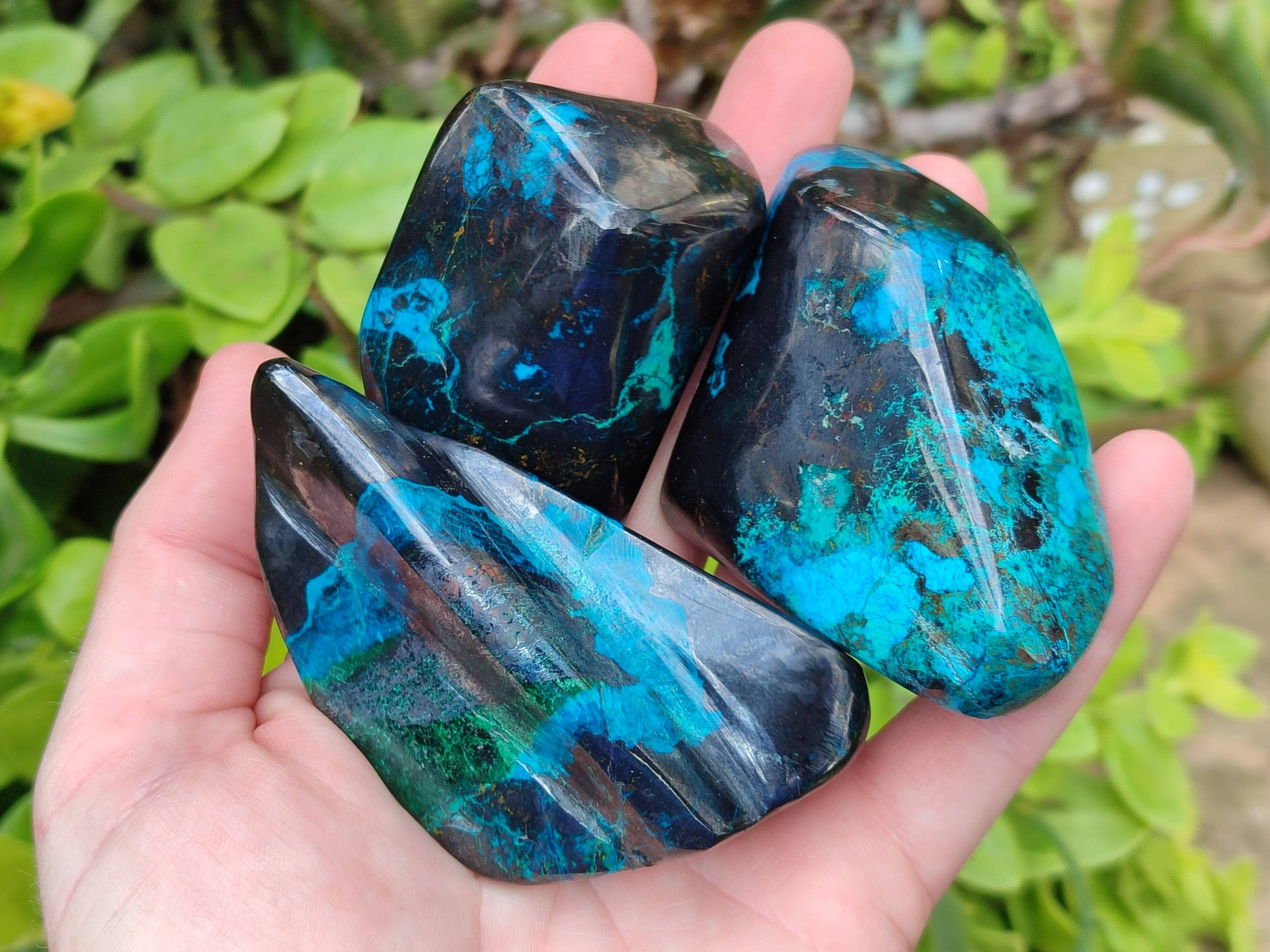 Polished Shattuckite Free Forms x 6 From Namibia - Toprock Gemstones and Minerals 