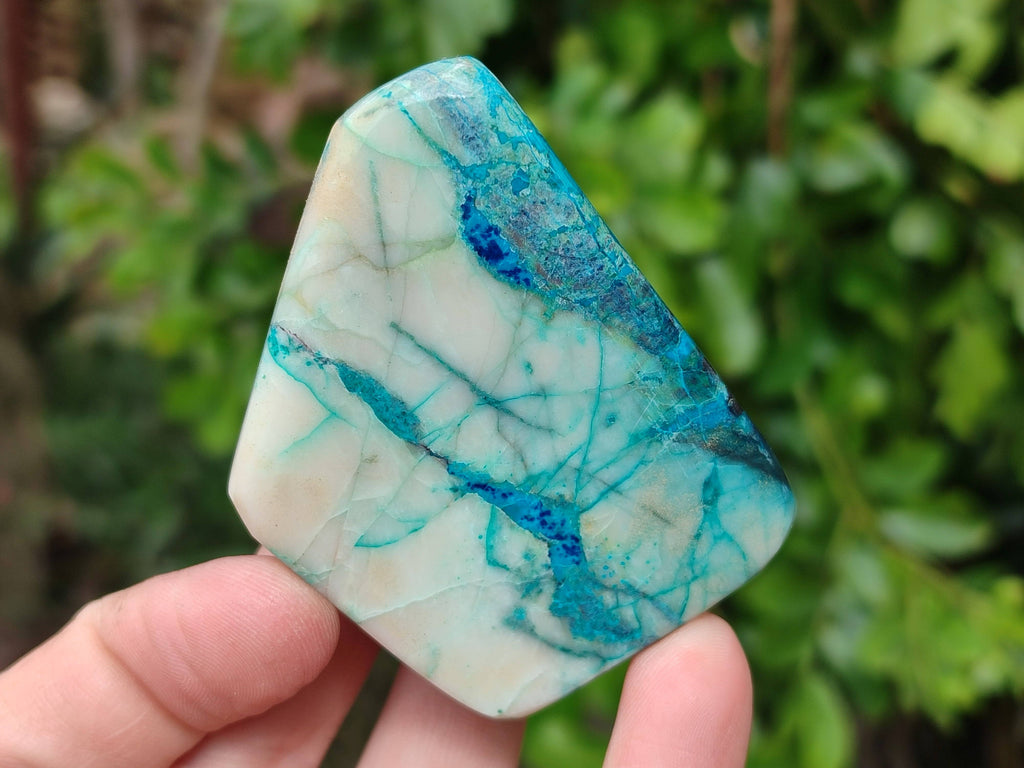 Polished Shattuckite Free Forms x 6 From Namibia - Toprock Gemstones and Minerals 