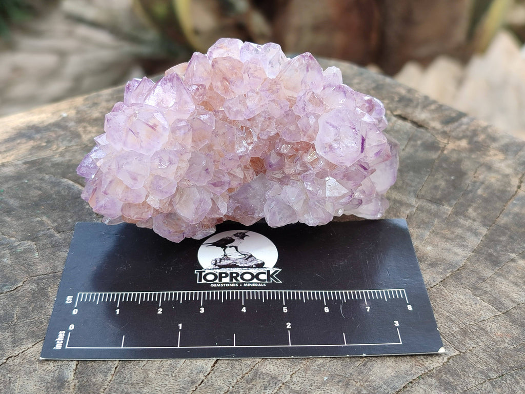 Natural Amethyst Spirit Quartz Clusters x 6 From Boekenhouthoek, South Africa - Toprock Gemstones and Minerals 