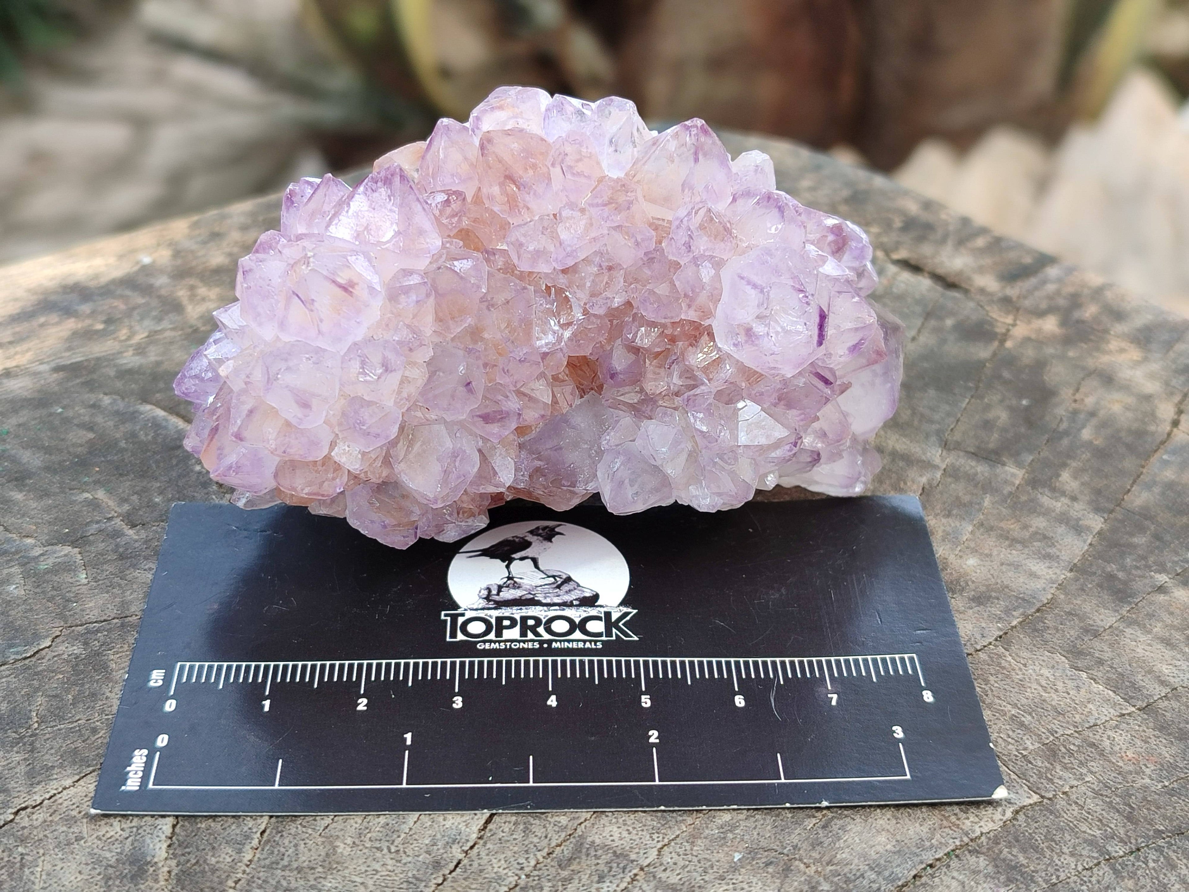 Natural Amethyst Spirit Quartz Clusters x 6 From Boekenhouthoek, South Africa - Toprock Gemstones and Minerals 
