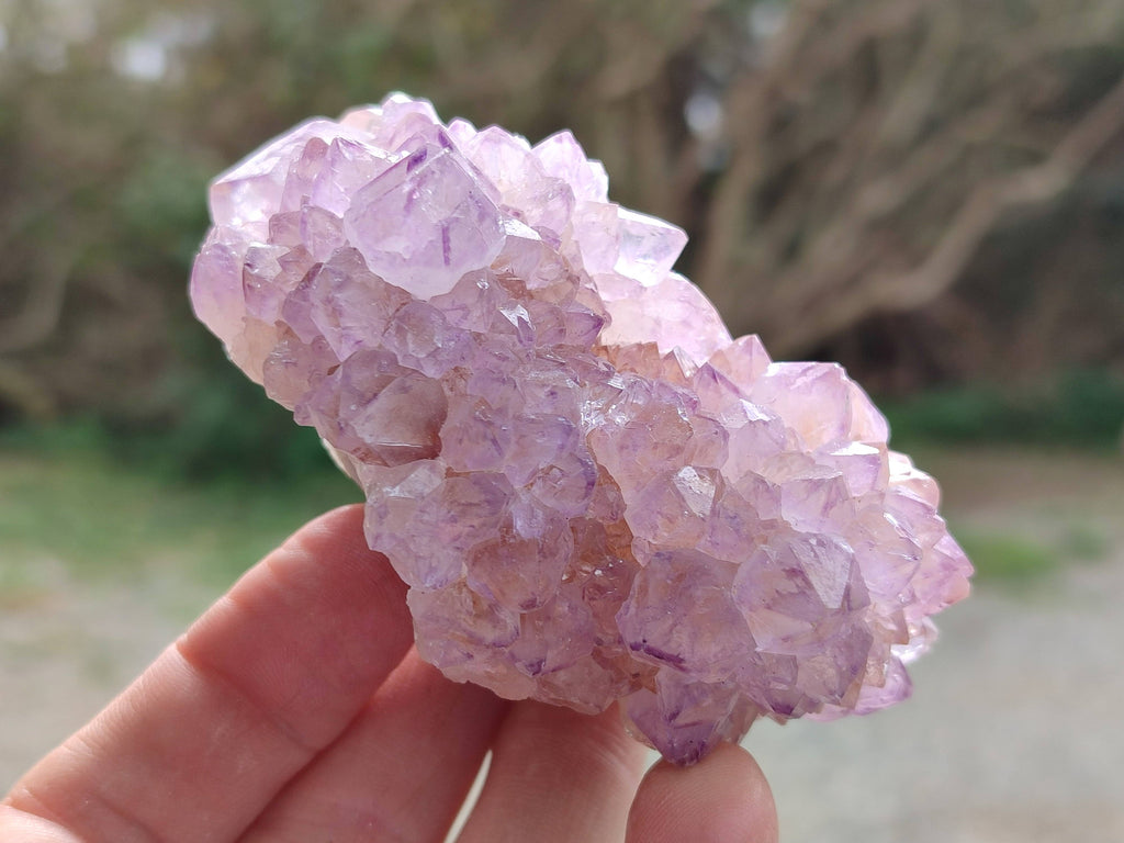 Natural Amethyst Spirit Quartz Clusters x 6 From Boekenhouthoek, South Africa - Toprock Gemstones and Minerals 