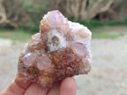 Natural Amethyst Spirit Quartz Clusters x 6 From Boekenhouthoek, South Africa - Toprock Gemstones and Minerals 