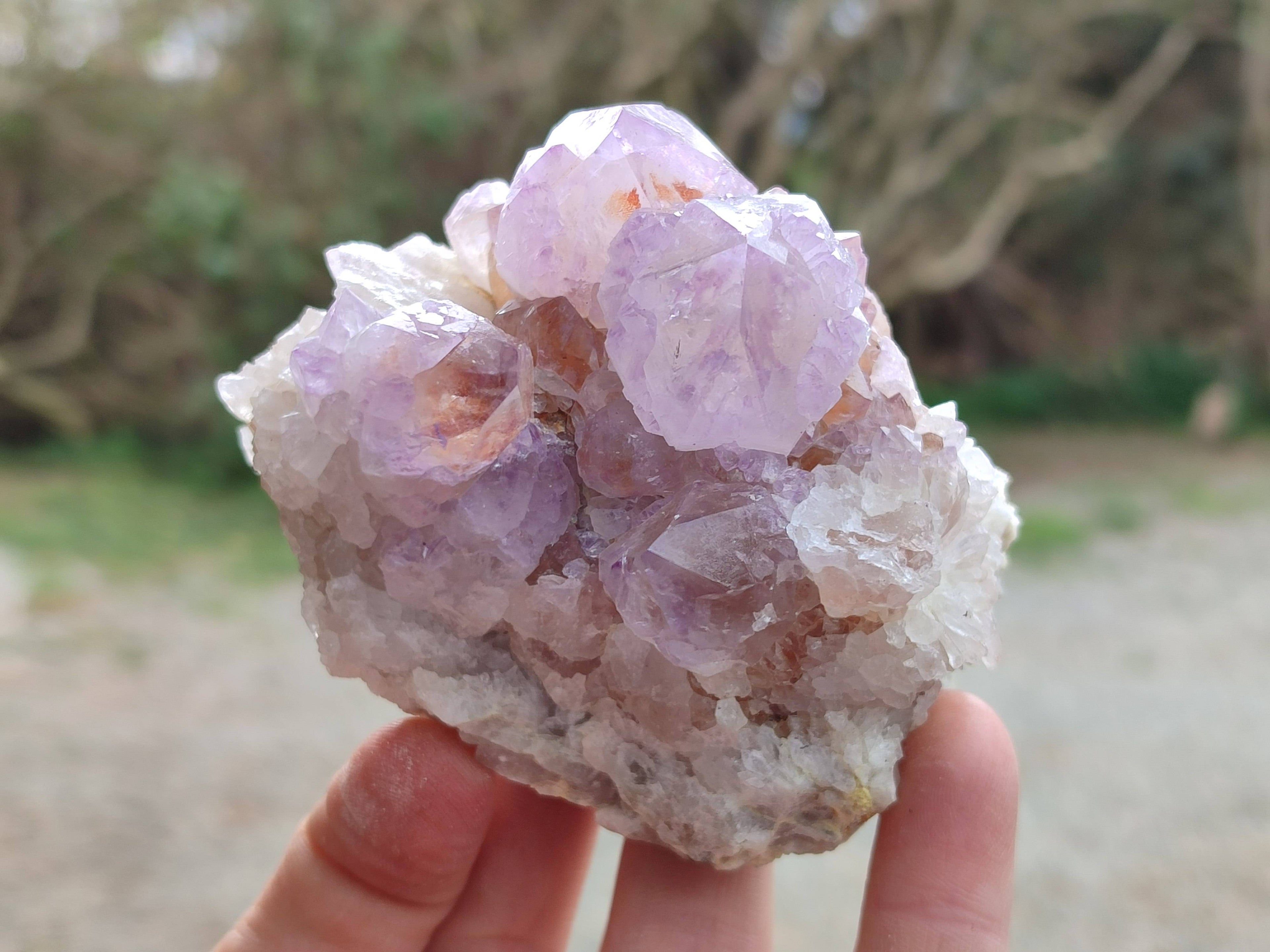 Natural Amethyst Spirit Quartz Clusters x 6 From Boekenhouthoek, South Africa - Toprock Gemstones and Minerals 