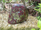 Polished Bastite Dragon Bloodstone Standing Free Forms x 2 From South Africa - Toprock Gemstones and Minerals 