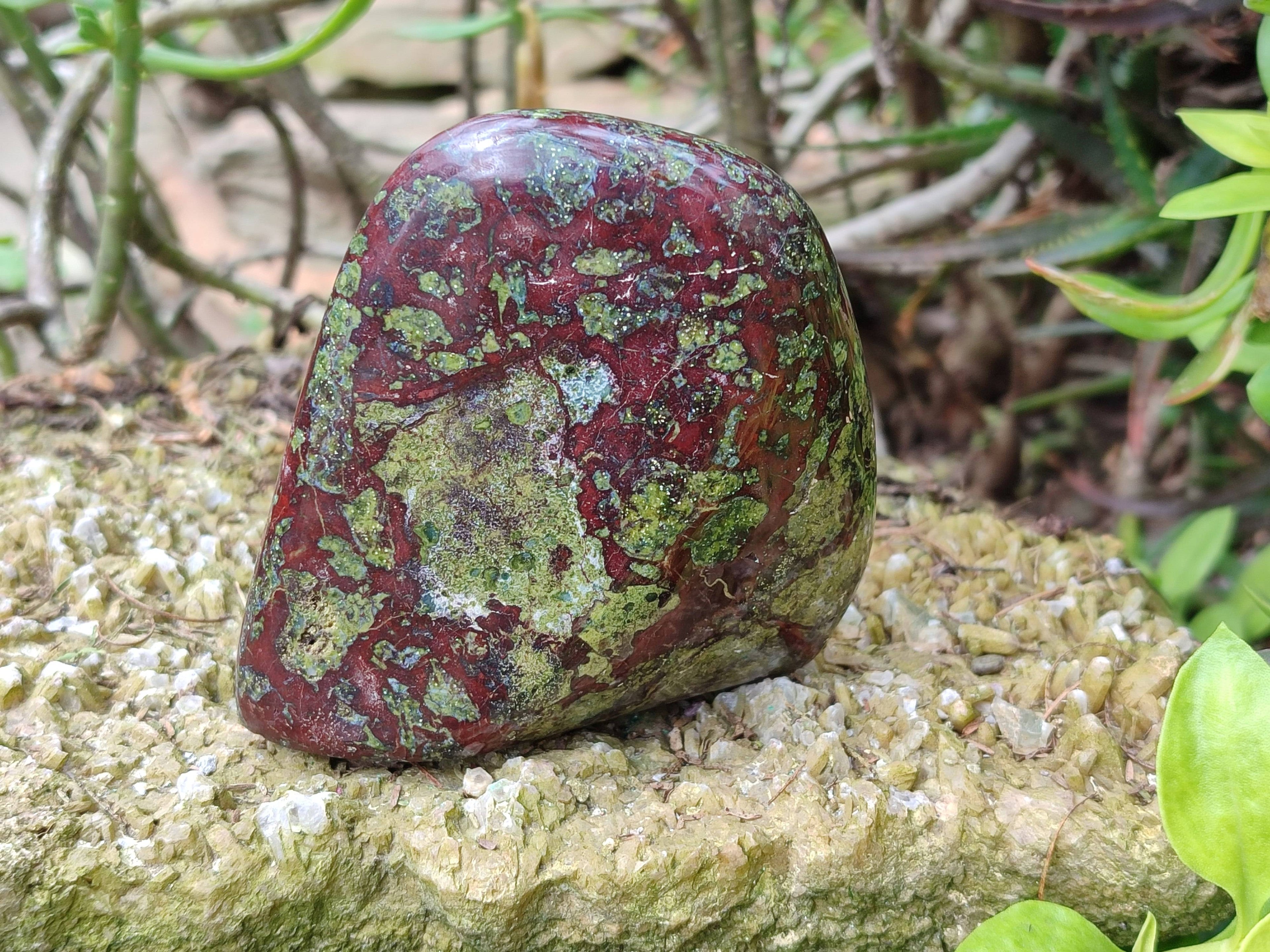 Polished Bastite Dragon Bloodstone Standing Free Forms x 2 From South Africa - Toprock Gemstones and Minerals 
