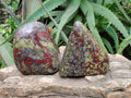 Polished Bastite Dragon Bloodstone Standing Free Forms x 2 From South Africa - Toprock Gemstones and Minerals 