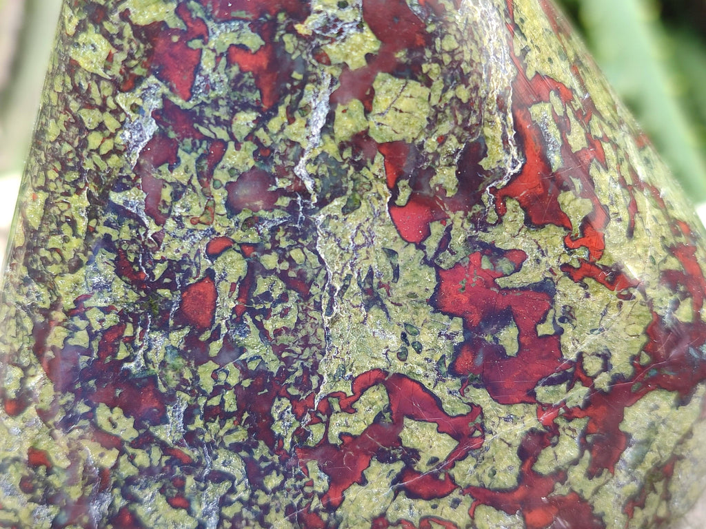 Polished Bastite Dragon Bloodstone Standing Free Forms x 2 From South Africa - Toprock Gemstones and Minerals 