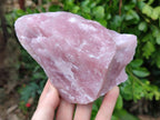 Natural Cobbed Rose Quartz Specimens x 15 From Northern Cape, South Africa - Toprock Gemstones and Minerals 