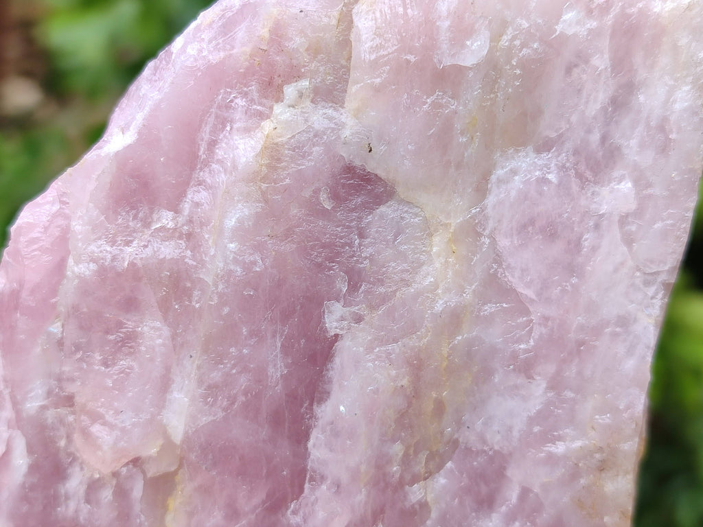Natural Cobbed Rose Quartz Specimens x 15 From Northern Cape, South Africa - Toprock Gemstones and Minerals 
