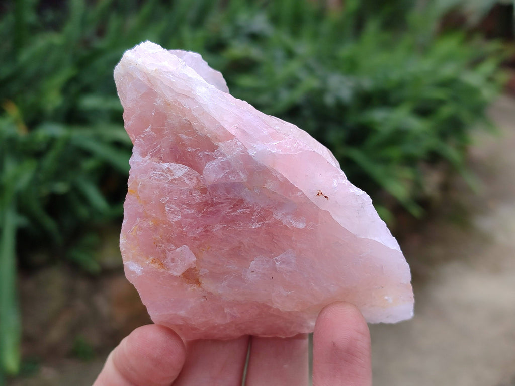 Natural Cobbed Rose Quartz Specimens x 15 From Northern Cape, South Africa - Toprock Gemstones and Minerals 
