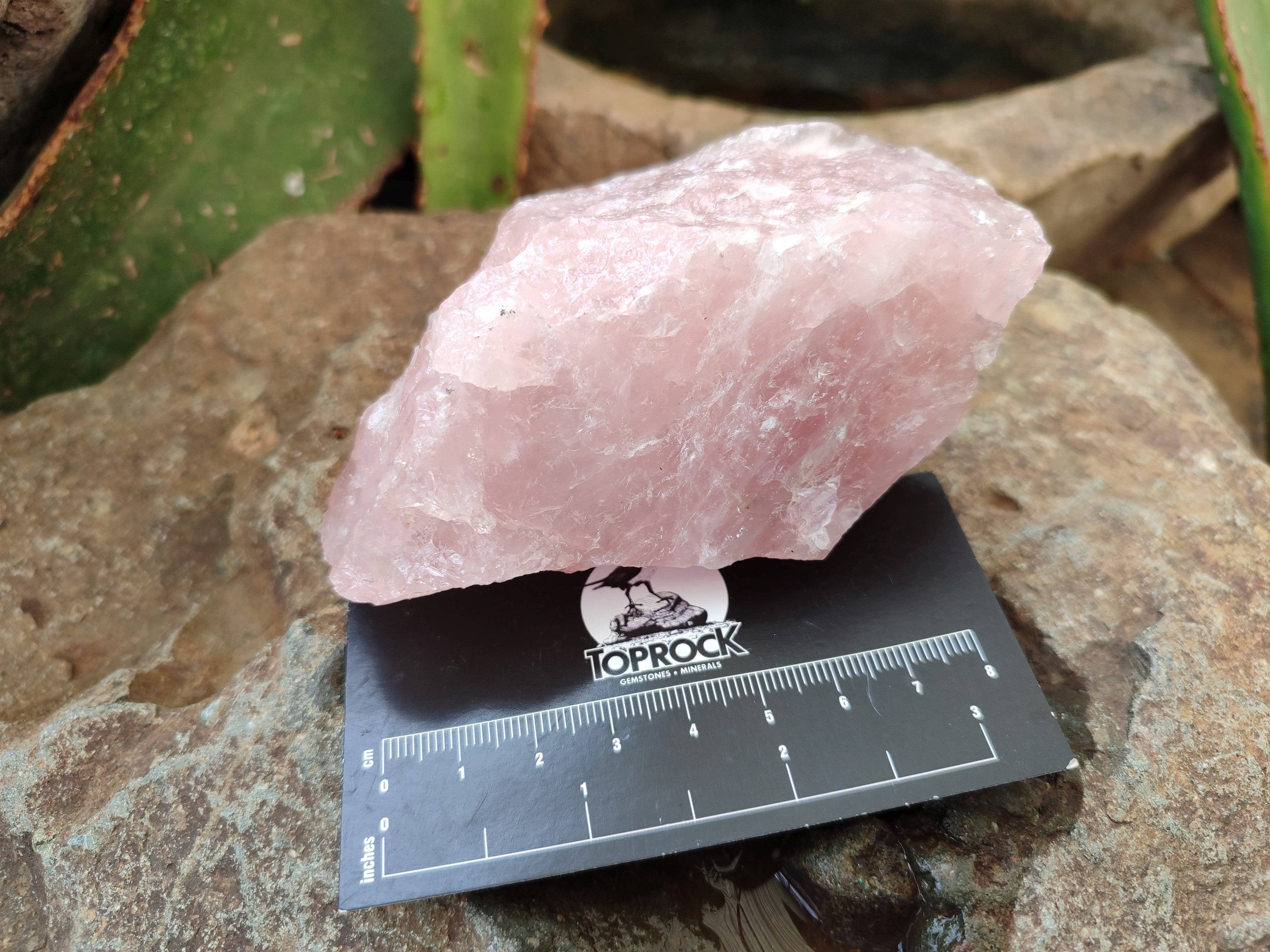 Natural Cobbed Rose Quartz Specimens x 15 From Northern Cape, South Africa - Toprock Gemstones and Minerals 