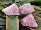 Natural Cobbed Rose Quartz Specimens x 15 From Northern Cape, South Africa - Toprock Gemstones and Minerals 