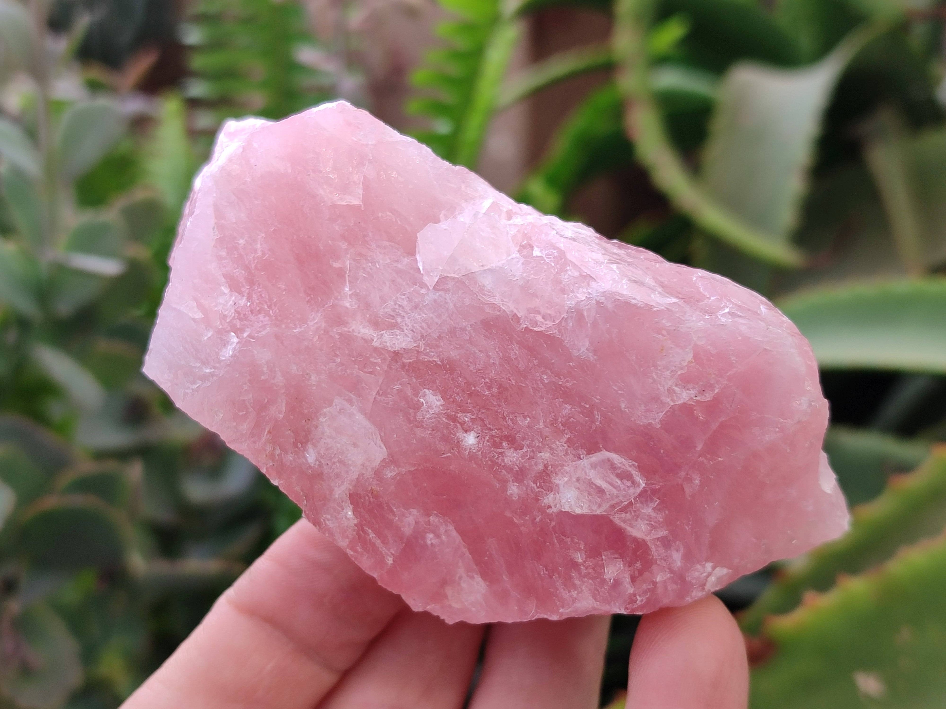 Natural Cobbed Rose Quartz Specimens x 15 From Northern Cape, South Africa - Toprock Gemstones and Minerals 
