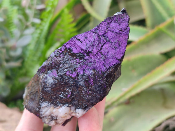 Natural Metallic Purpurite Specimens x 6 From Erongo, Namibia