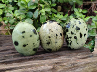 Polished Leopard Stone Palm Stones x 12 From Zimbabwe