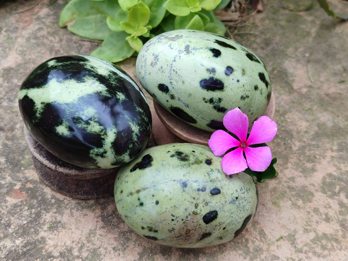 Polished Leopard Stone Palm Stones x 12 From Zimbabwe - Toprock Gemstones and Minerals 