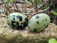 Polished Leopard Stone Palm Stones x 12 From Zimbabwe