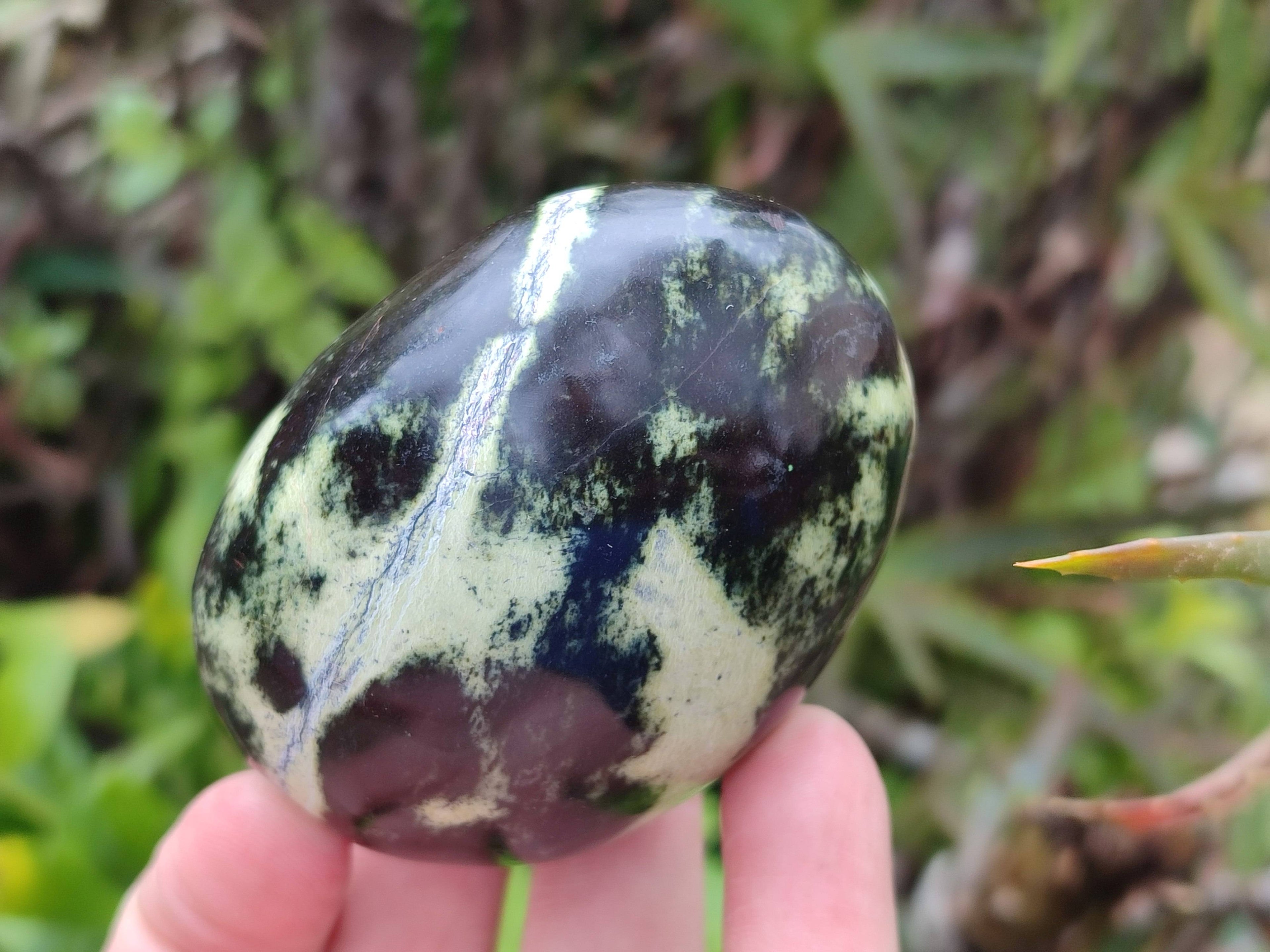 Polished Leopard Stone Palm Stones x 12 From Zimbabwe - Toprock Gemstones and Minerals 
