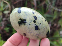 Polished Leopard Stone Palm Stones x 12 From Zimbabwe