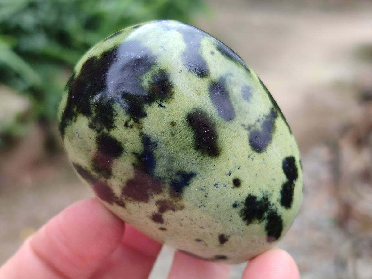 Polished Leopard Stone Palm Stones x 12 From Zimbabwe - Toprock Gemstones and Minerals 