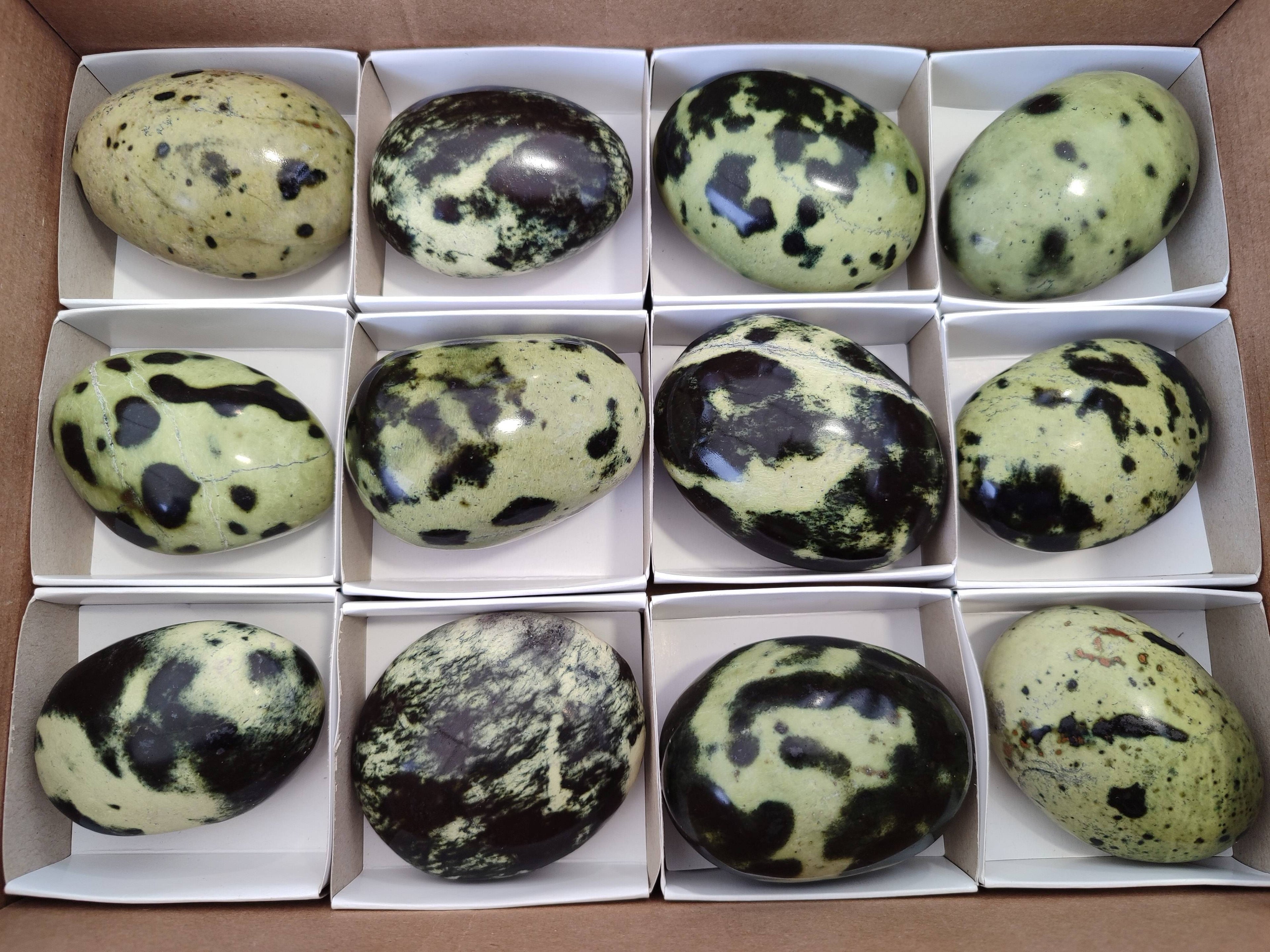 Polished Leopard Stone Palm Stones x 12 From Zimbabwe - Toprock Gemstones and Minerals 