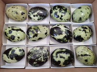 Polished Leopard Stone Palm Stones x 12 From Zimbabwe