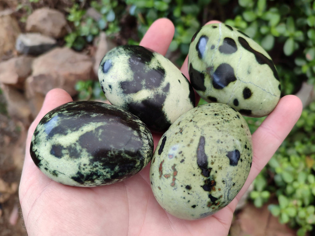 Polished Leopard Stone Palm Stones x 12 From Zimbabwe - Toprock Gemstones and Minerals 