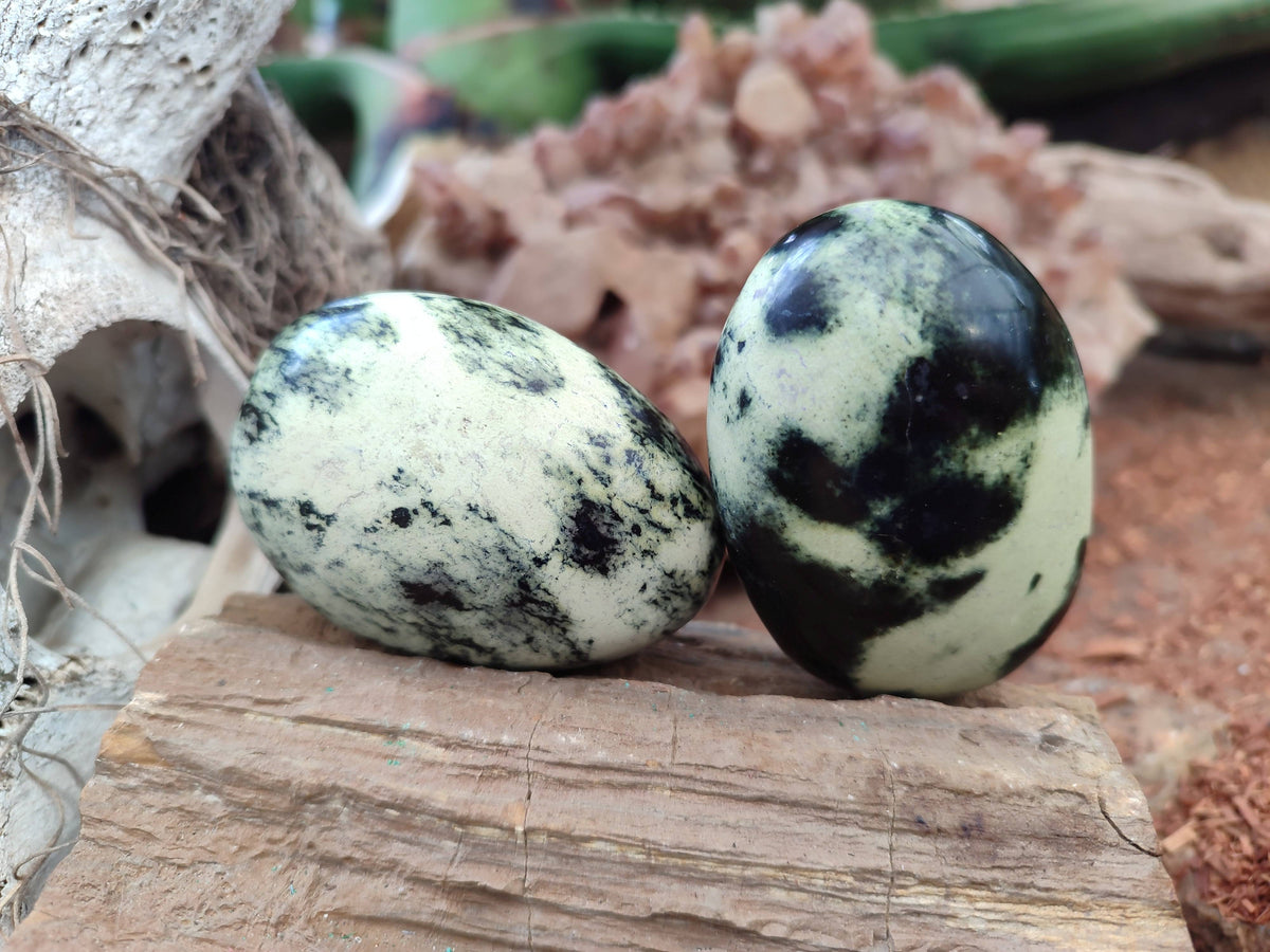 Polished Leopard Stone Palm Stones x 12 From Zimbabwe - Toprock Gemstones and Minerals 