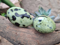Polished Leopard Stone Palm Stones x 12 From Zimbabwe