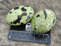 Polished Leopard Stone Palm Stones x 12 From Zimbabwe