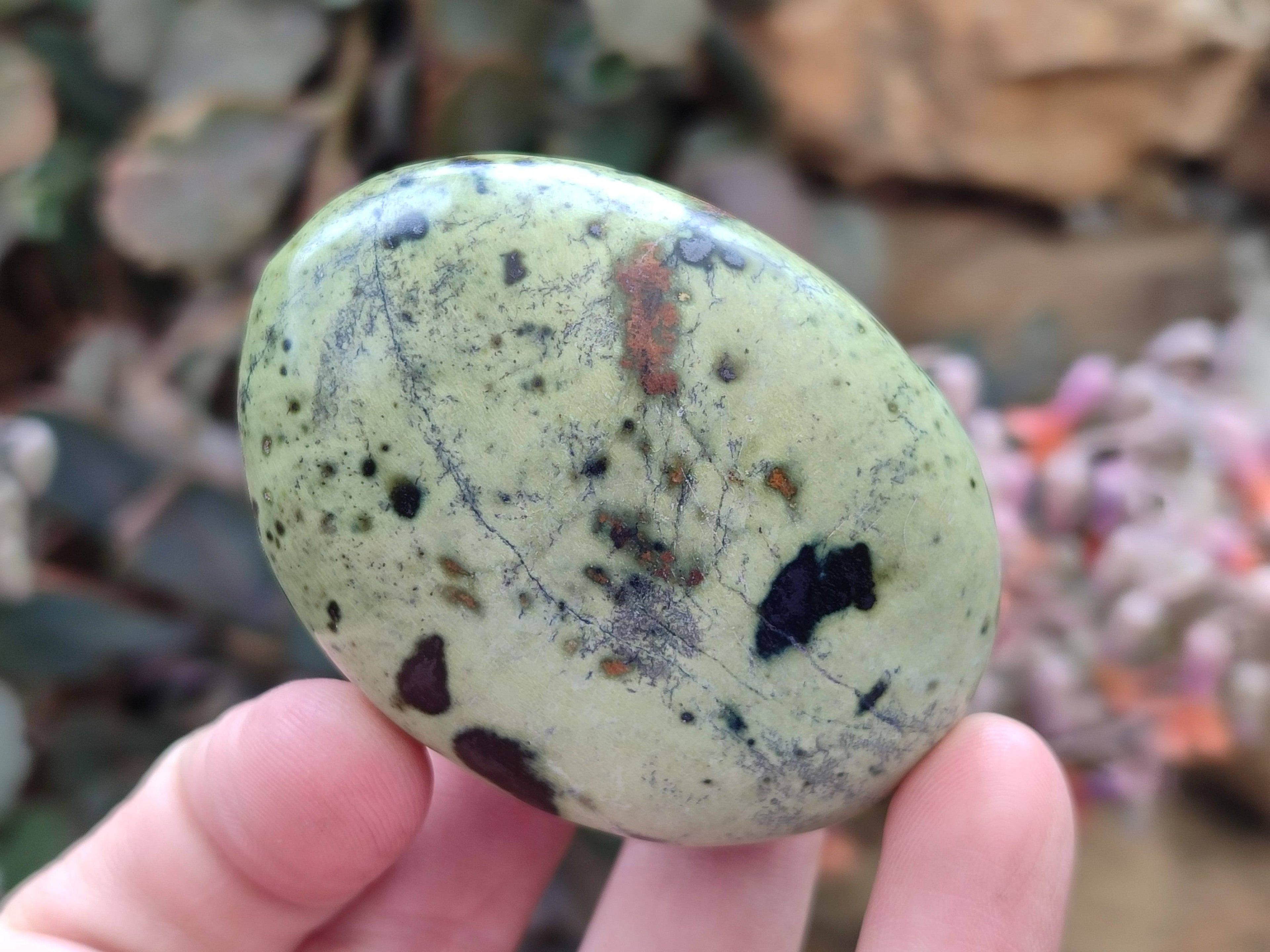 Polished Leopard Stone Palm Stones x 12 From Zimbabwe - Toprock Gemstones and Minerals 