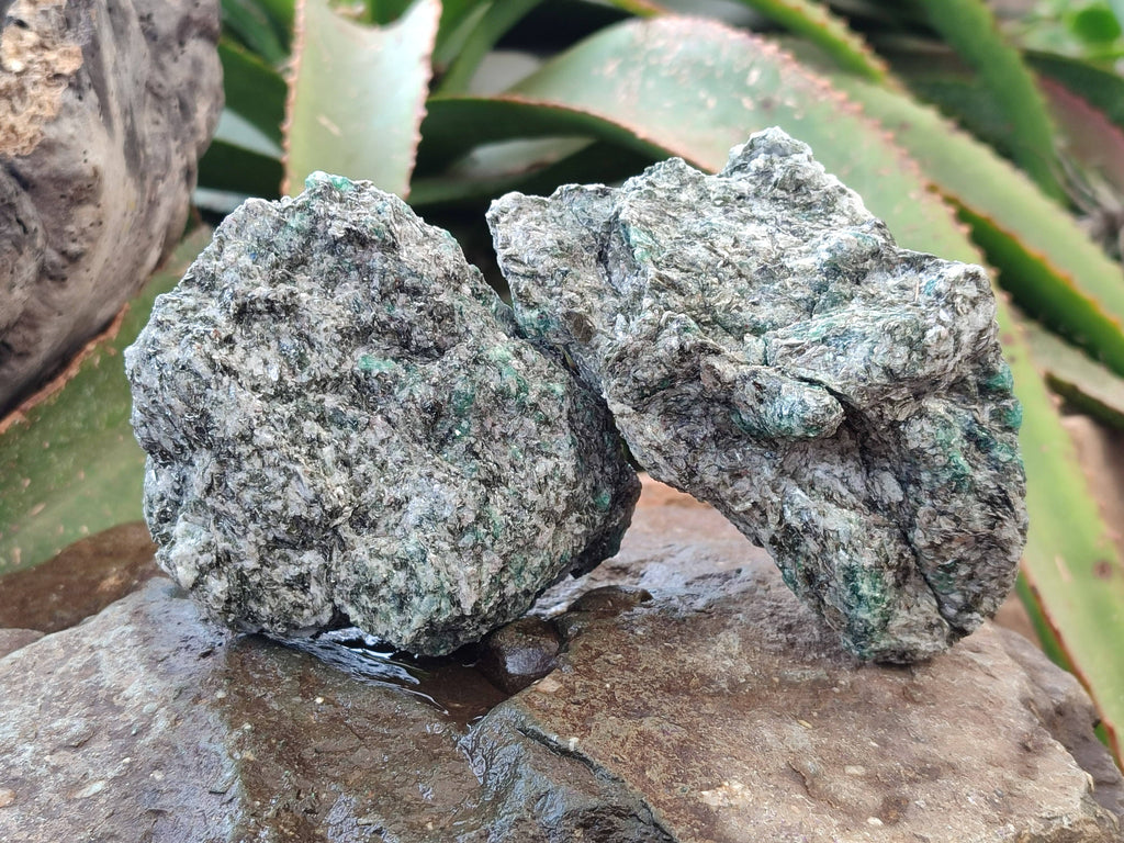 Natural Emerald Mica 'Mutokolite' Specimens x 4 From Mutoko, Zimbabwe - Toprock Gemstones and Minerals 