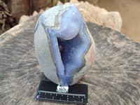Polished Blue Lace Agate Standing Free Forms x 2 From Nsanje, Malawi